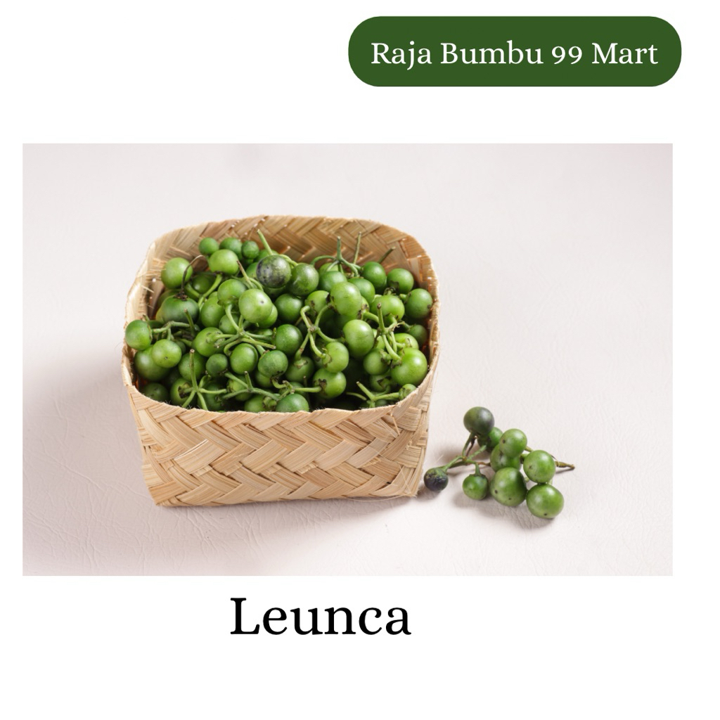 LEUNCA 1 pack 100 gr