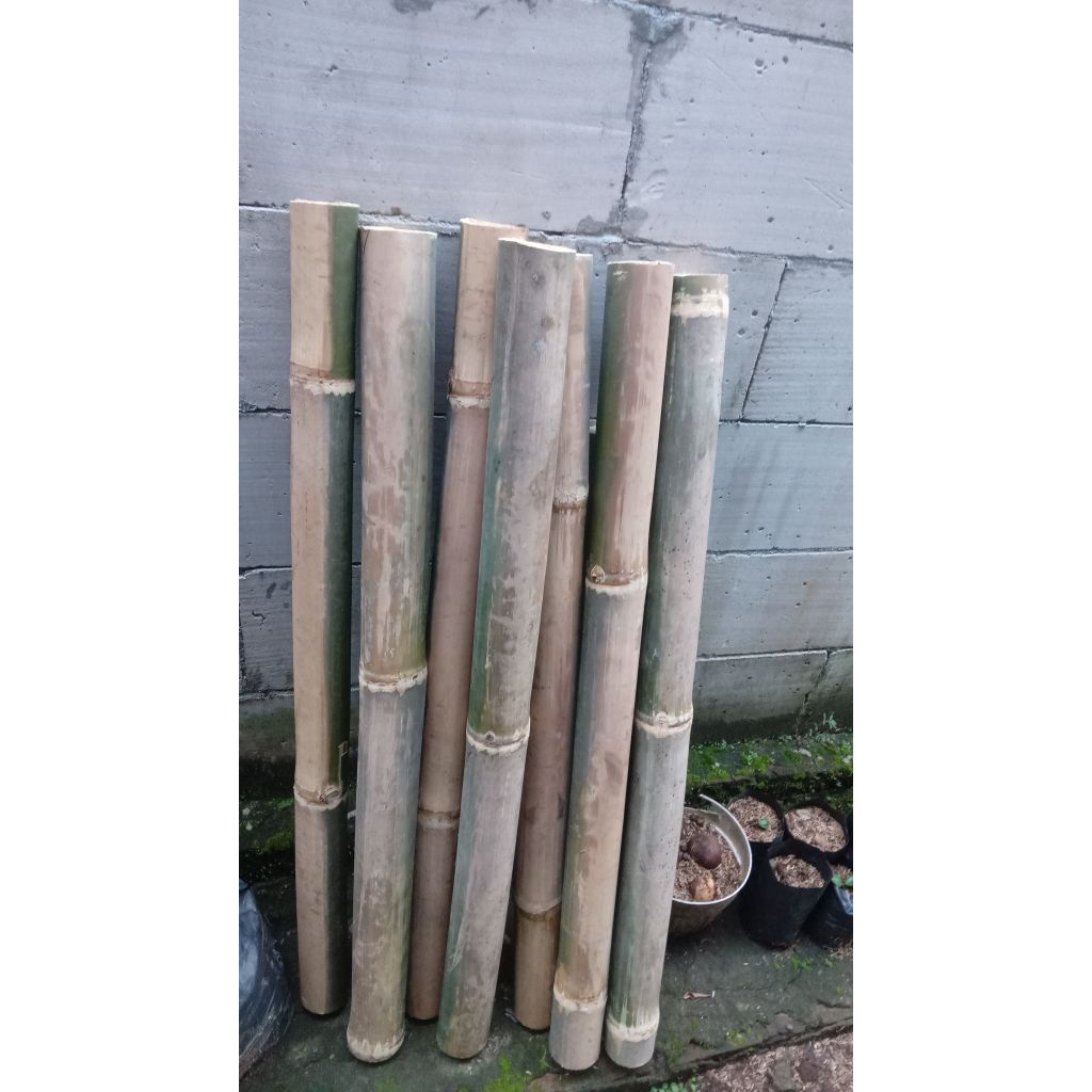 bambu potong 50cm  baik di gunakan untuk kandang ayam dan panjar sayuran