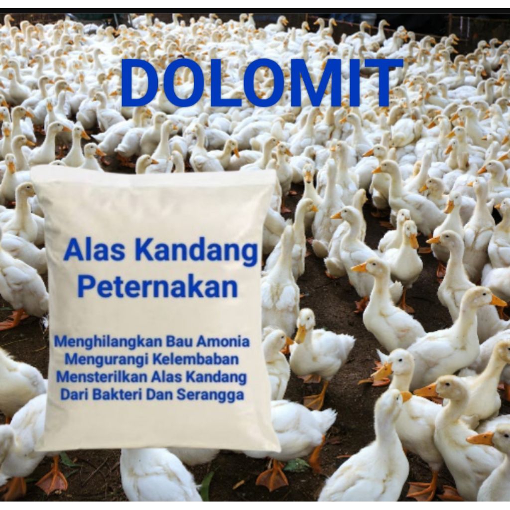Dolomit untuk alas kandang Bebek Ayam 500gr menjaga kesehatan ternak