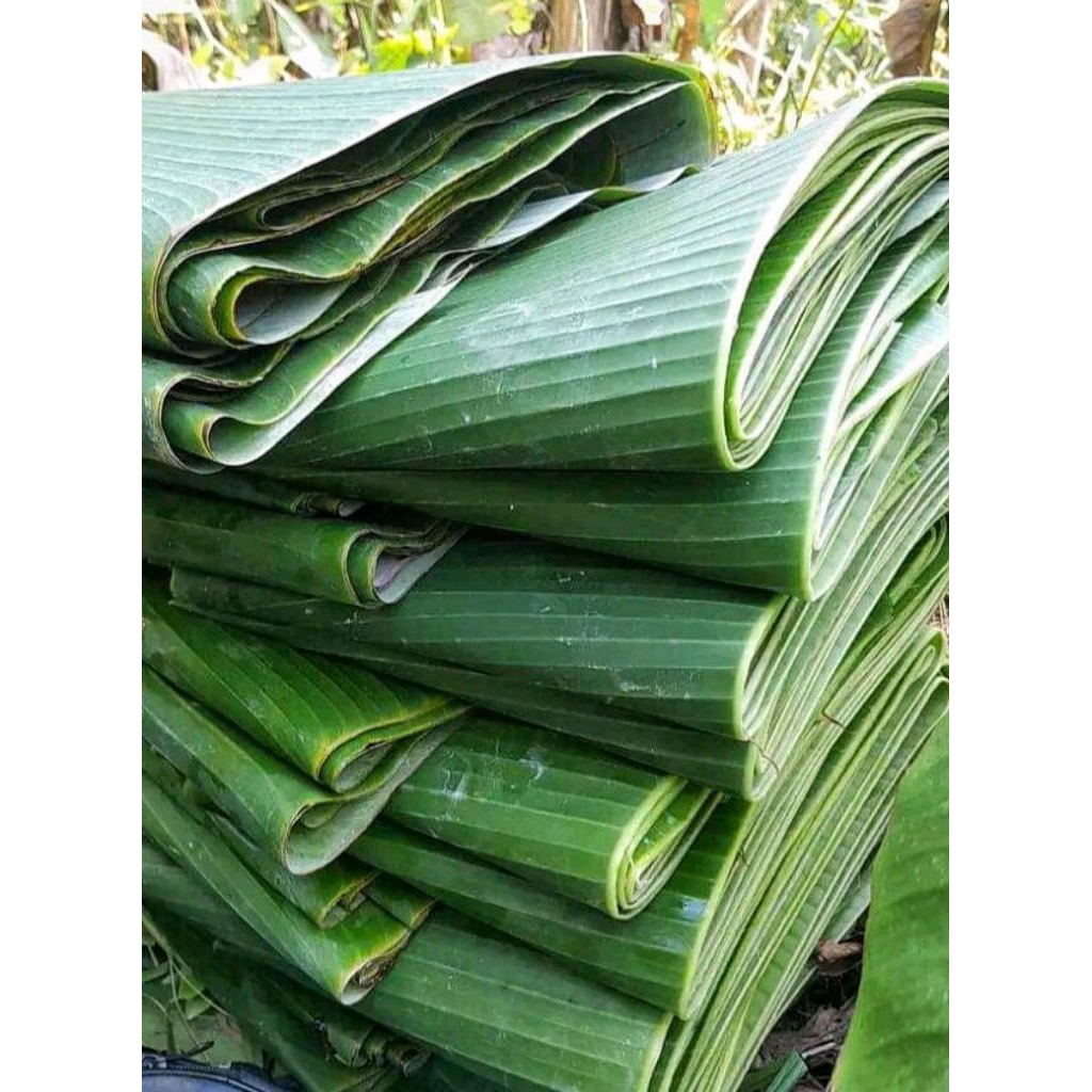 Daun Pisang Segar Daun Pisang Bungkus Lontong,Daun Pisang Segar, Daun Pisang Besar