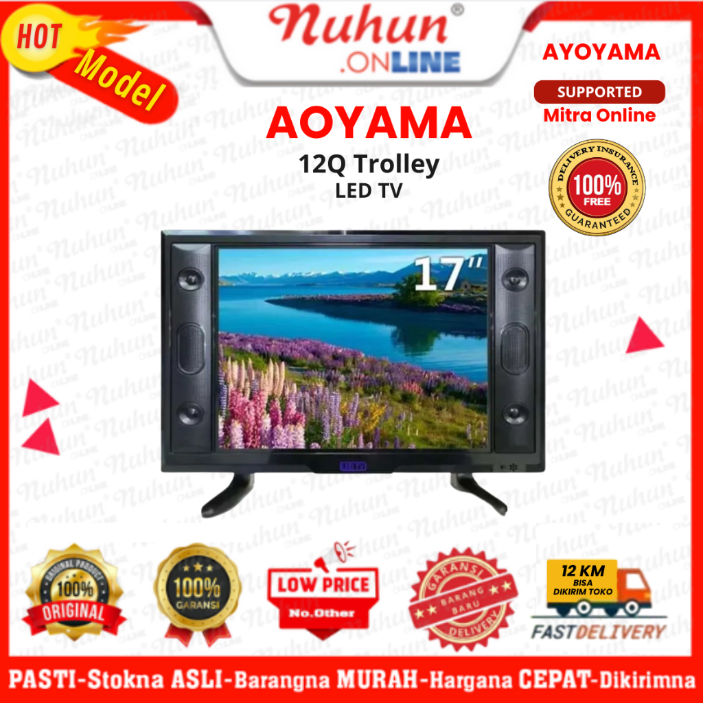 LED TV Aoyama 17" Digital