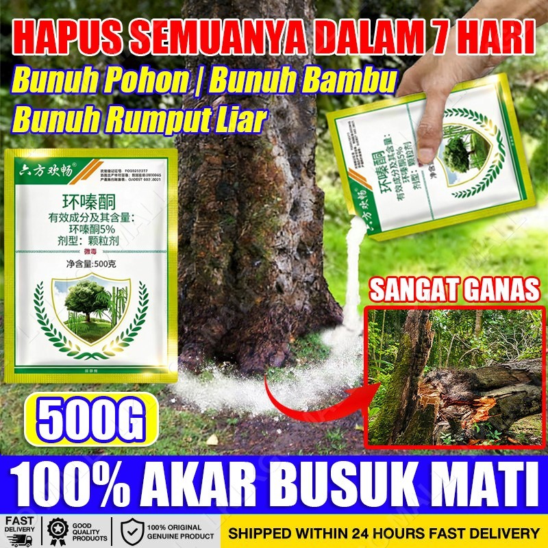 racun bambu paling ampuh original Pembasmi Rumput Liar pohon palem mangga pohon herbisida pembunuh o