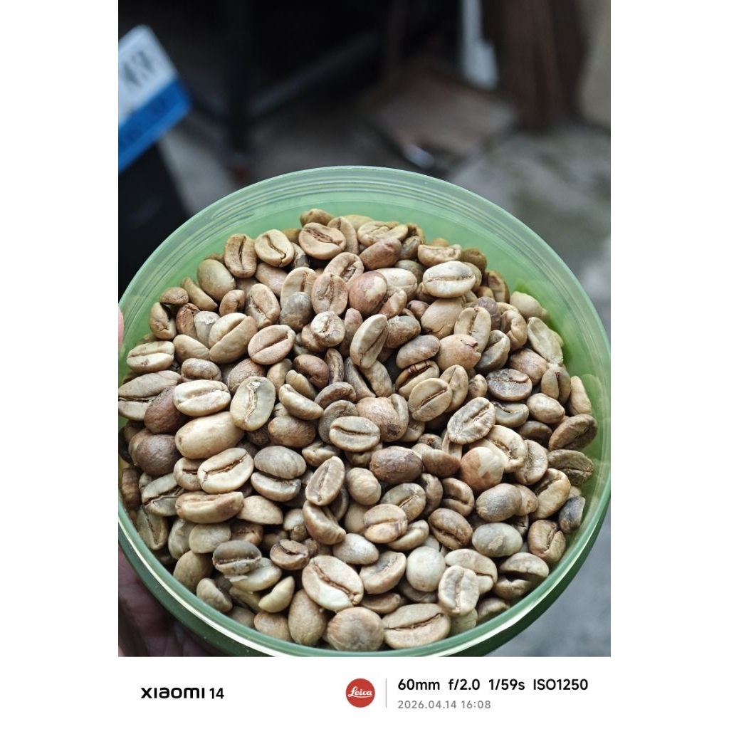 Green bean Arabica Flores Manggarai Classical Washed