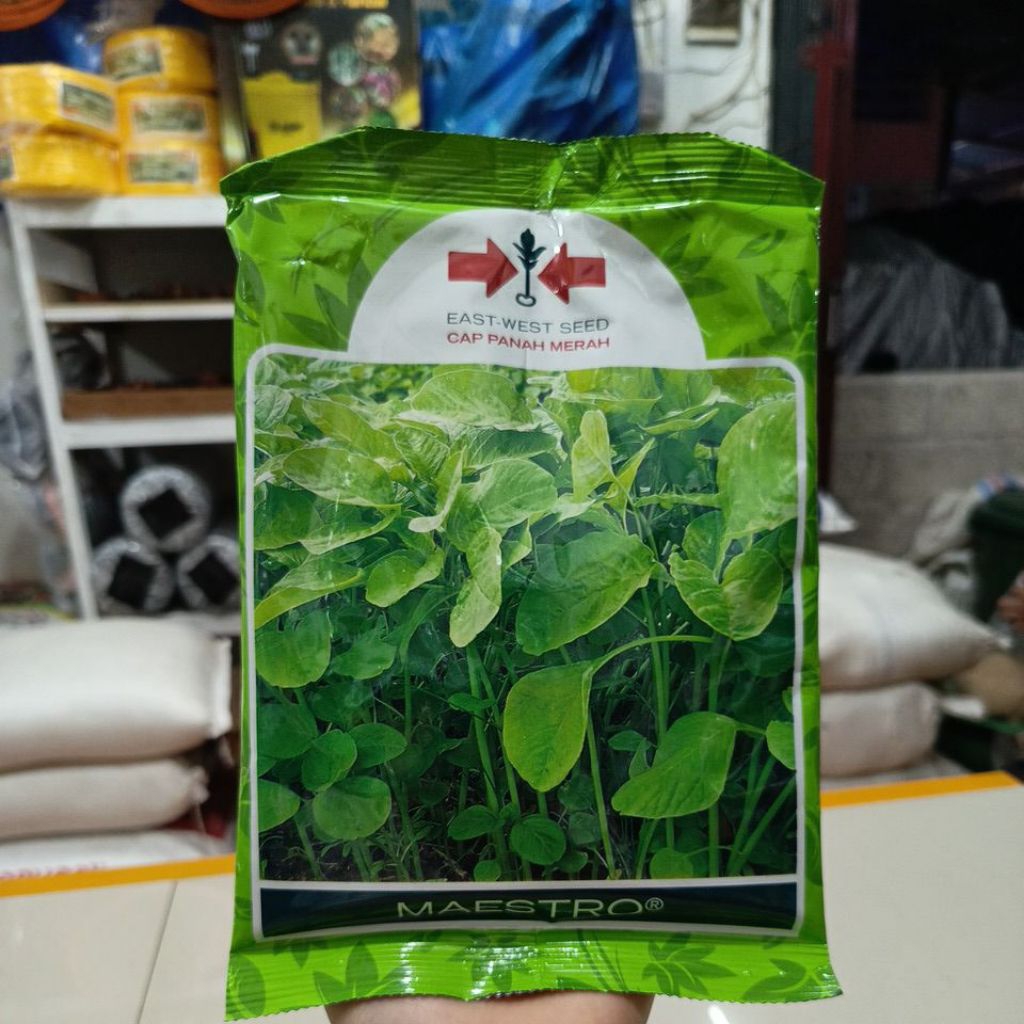 Bayam Maestro cap panah merah 500gr/ Bibit bayam cap panah merah