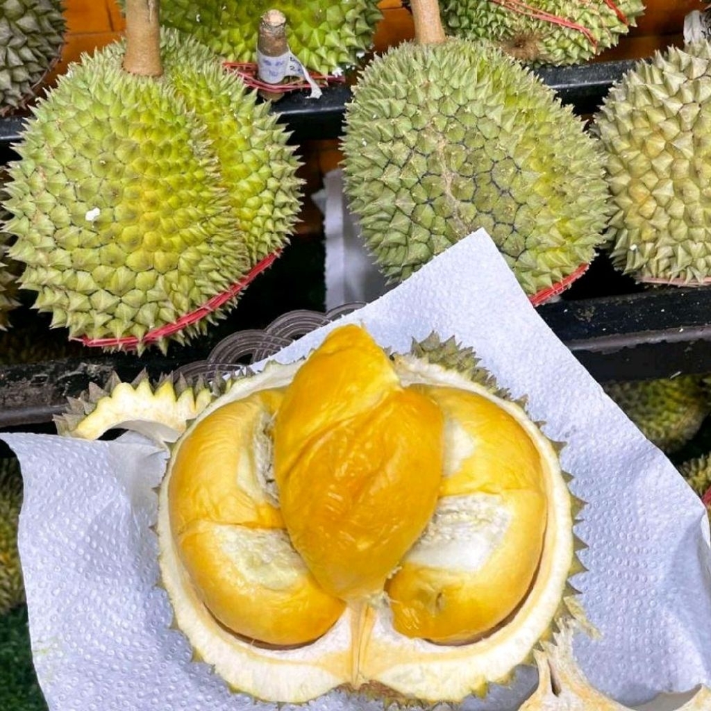 Buah durian blackthorn super fresh utuh durian hitam blackthorn utuh -+1,8 kg
