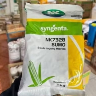 benih jagung hibrida nk sumo