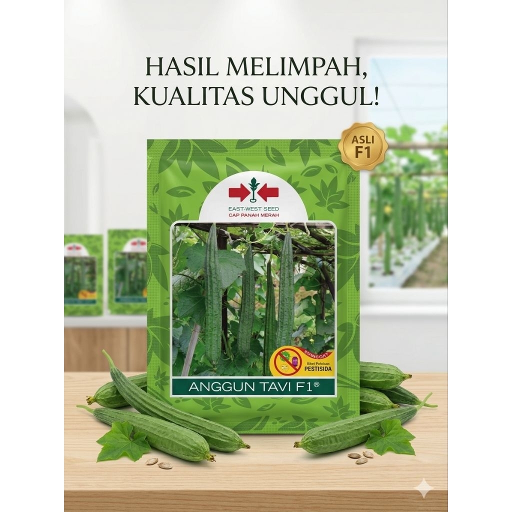 Bibit Gambas Oyong anggun tavi F1 Panah merah