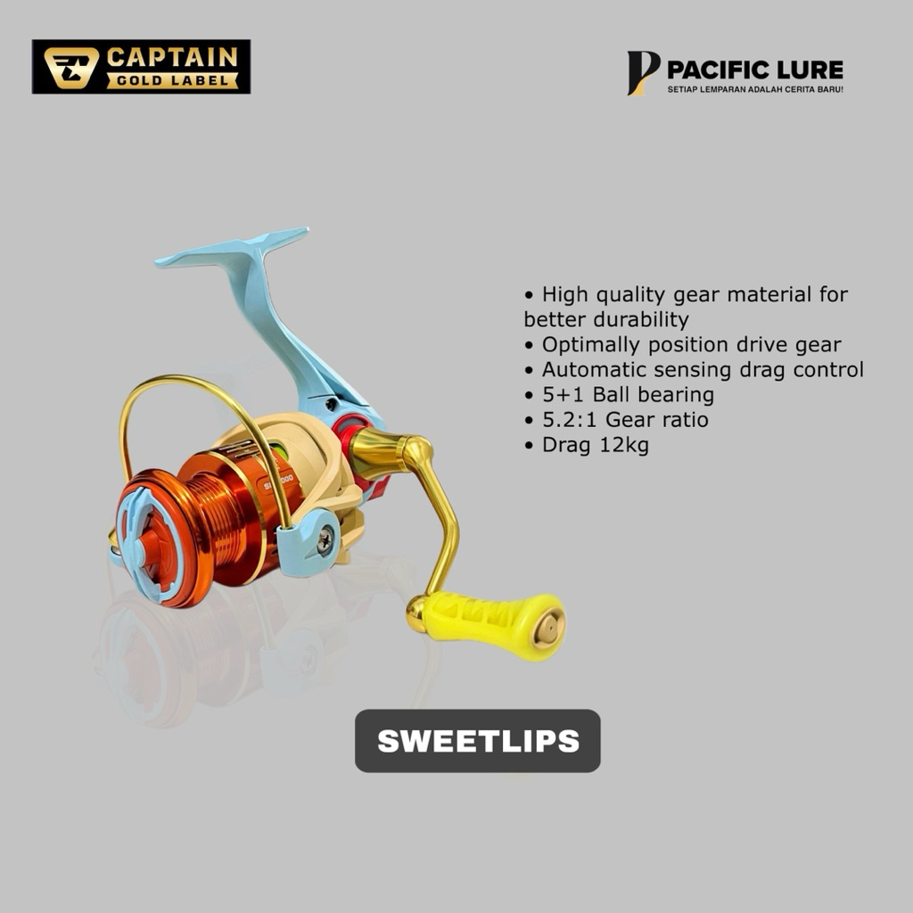Reel pancing Captain Sweetlips Power handle 5+1 Ball bearing Drag 12kg