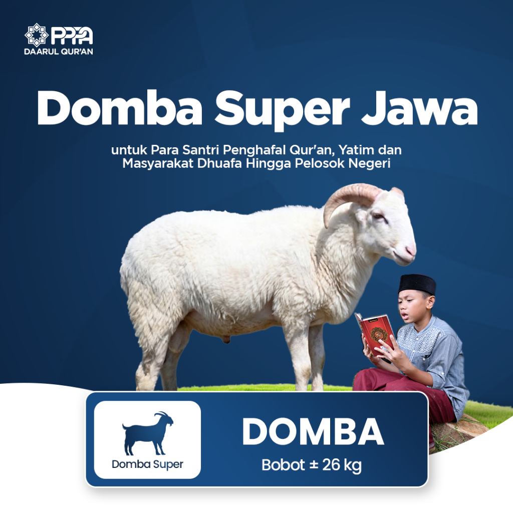 Qurban Domba Super