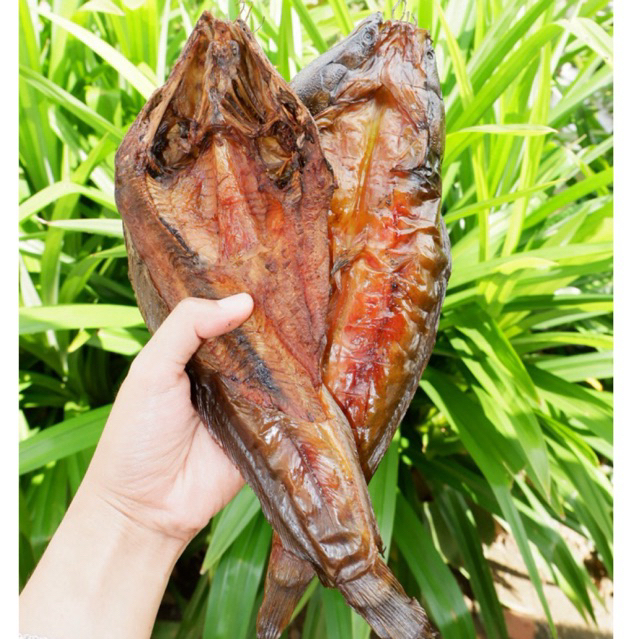 Salai Ikan Lele