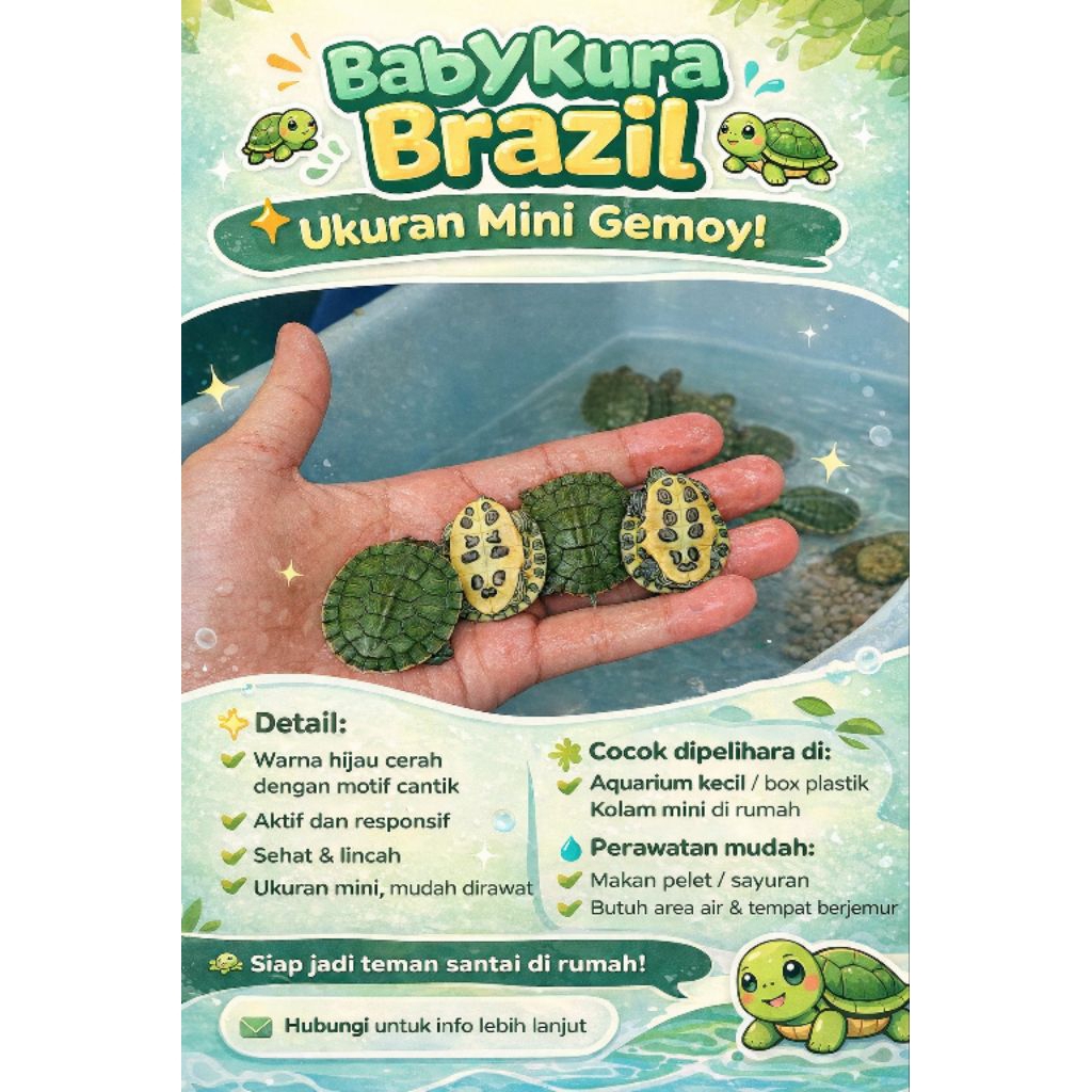 hiasan aquarium mini kura brajil