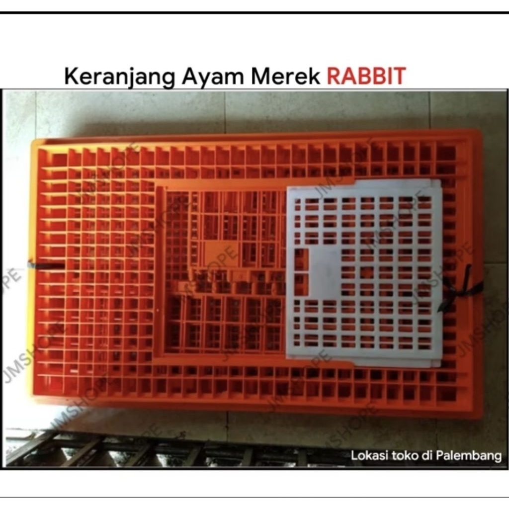 Keranjang Ayam Rabbit Dua Kelinci Besar 25kg wilayah Sumatera Selatan kandang sumsel pes pis rabit p
