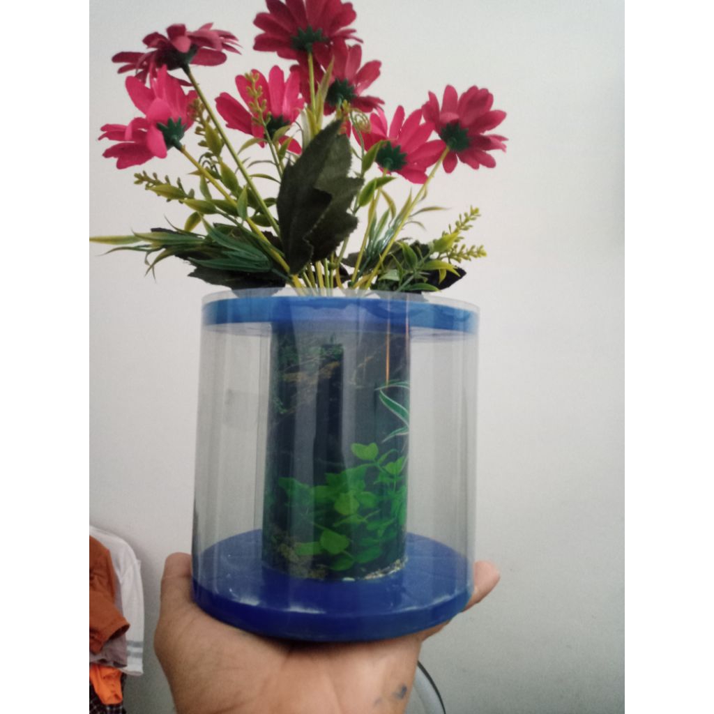 Pot Bunga Model Aquarum bundar  hiasan ruang tamu dan teras rumah