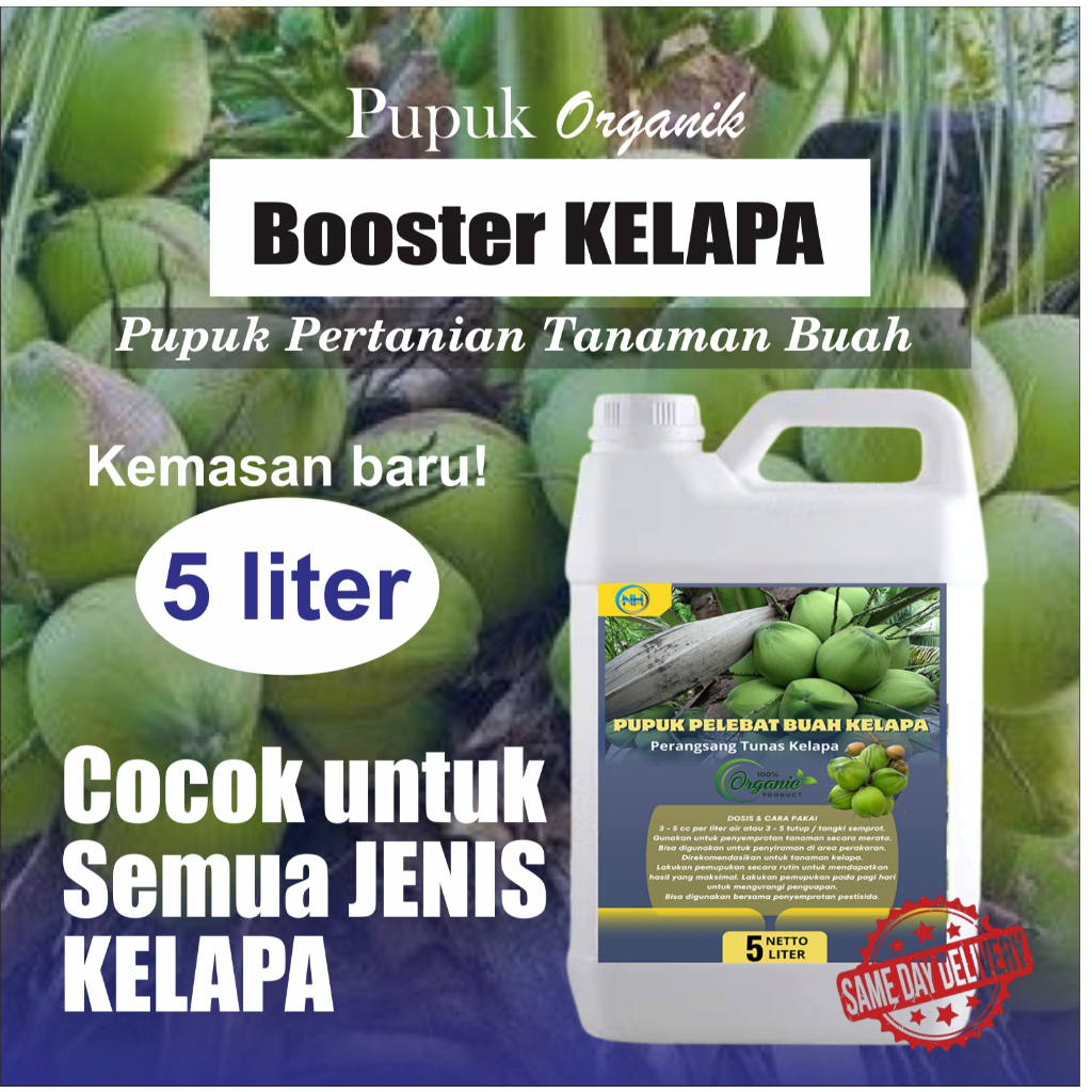 Pupuk Kelapa Agar Cepat Besar Berbuah Lebat Anti rontok | Pupuk Booster Kelapa Hibriba Hijau Pendek 