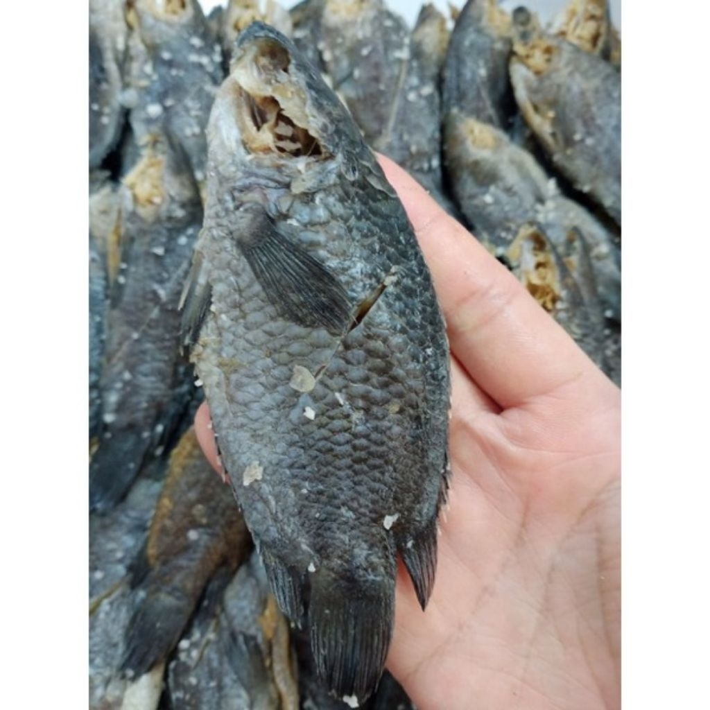 Iwak wadi pepuyu ikan betok asin khas kalimantan