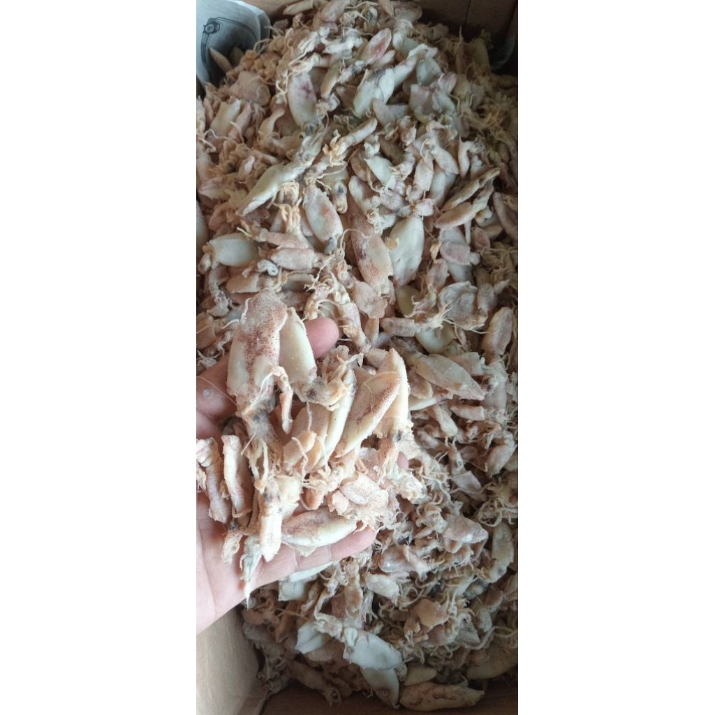 Cumi kering asin 1kg~Harga Termurah