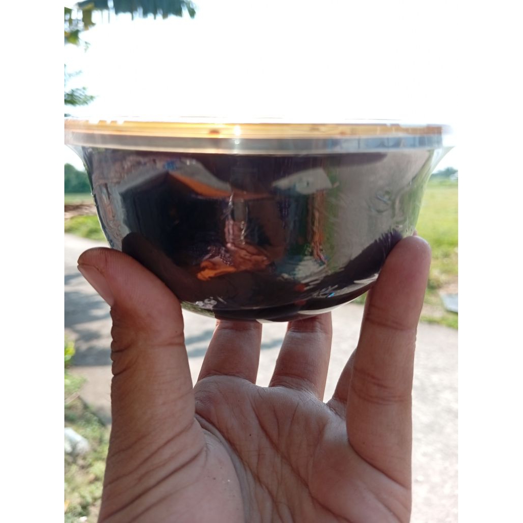 PETIS UDANG-SAMBEL PETIS SIDOARJO-ASLI UDANG