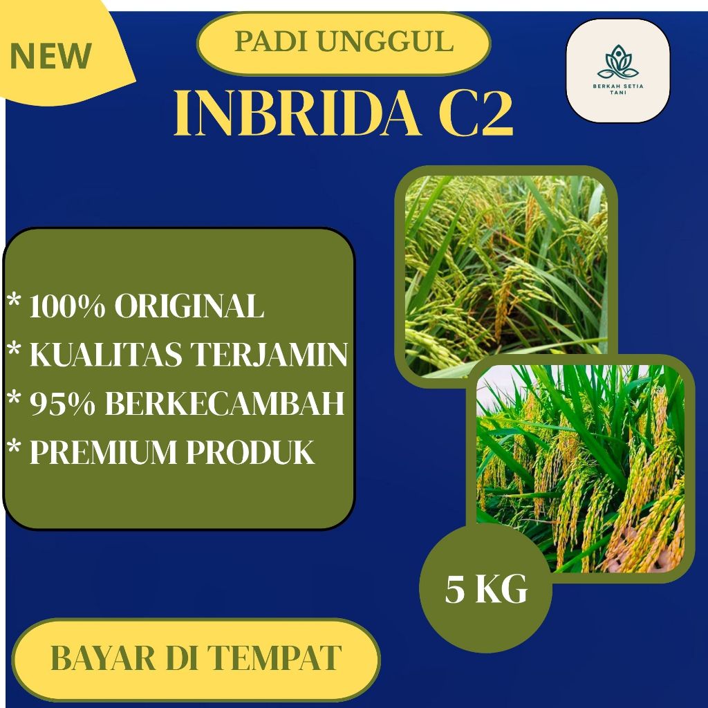 Benih padi inbrida C2 kemasan 5kg original