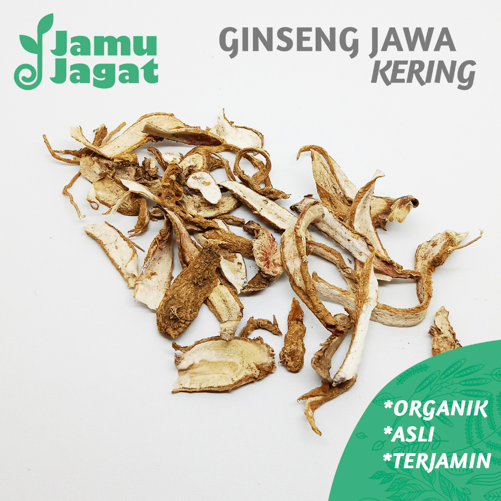 Ginseng Jawa Kering 100gr Asli SOM Grade A