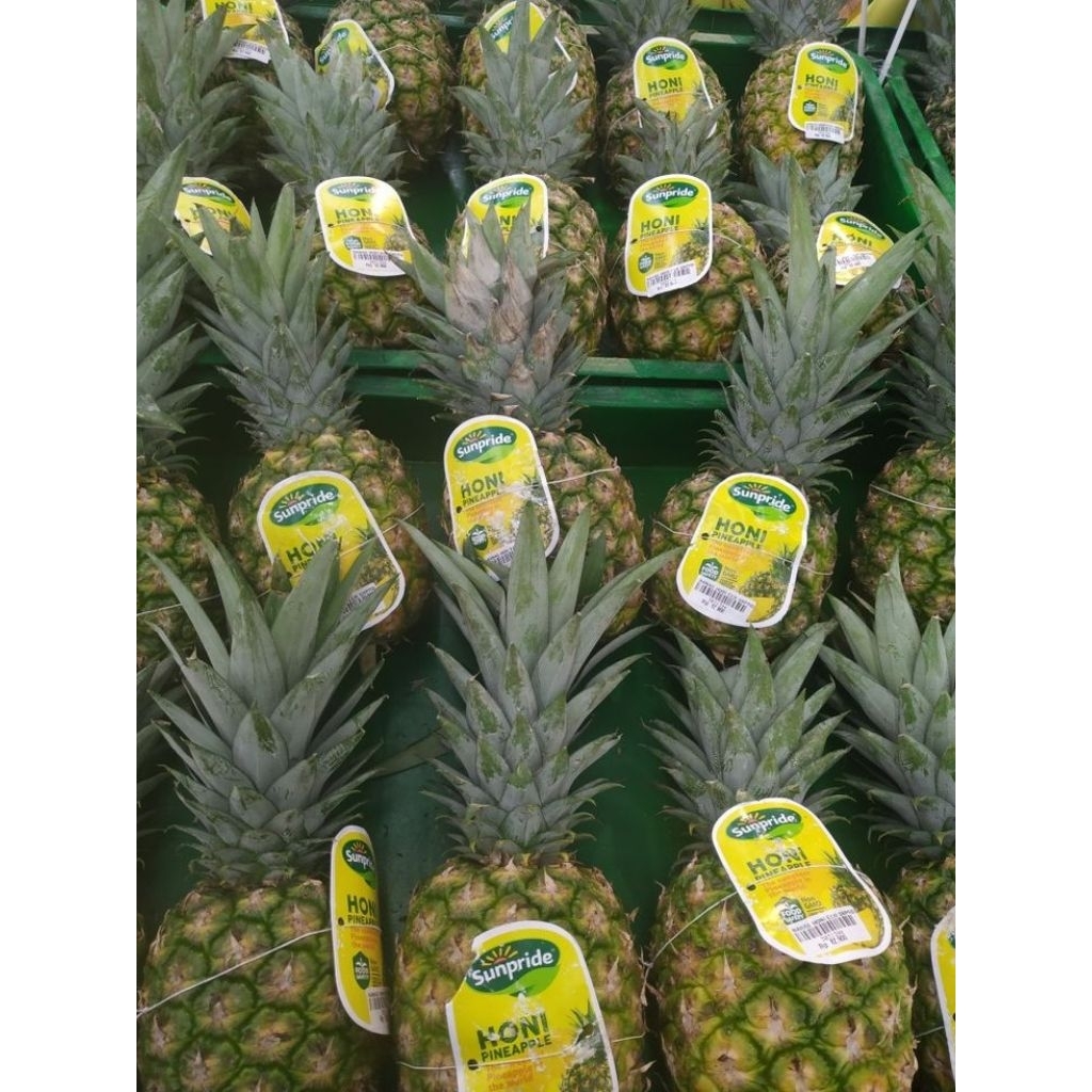 [PREMIUM] Buah Nanas Madu Jumbo Sunpride Honi 1dus Manis Alami