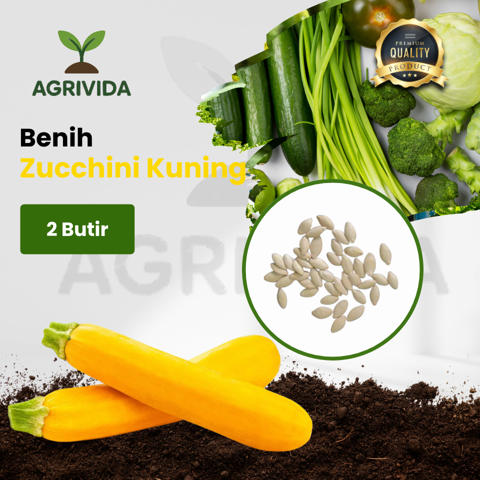 Benih Zucchini Kuning 2 Butir