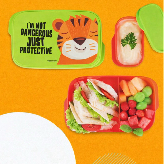 tupperware foodie buddy bekal