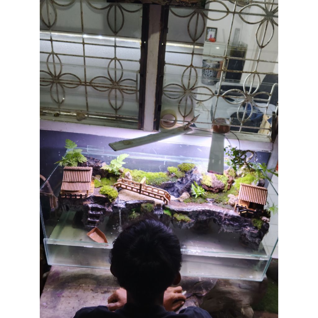 paludarium diorama size 1*40*40cm