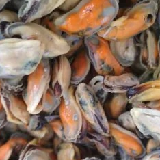 Kerang ijo kupas 1kg