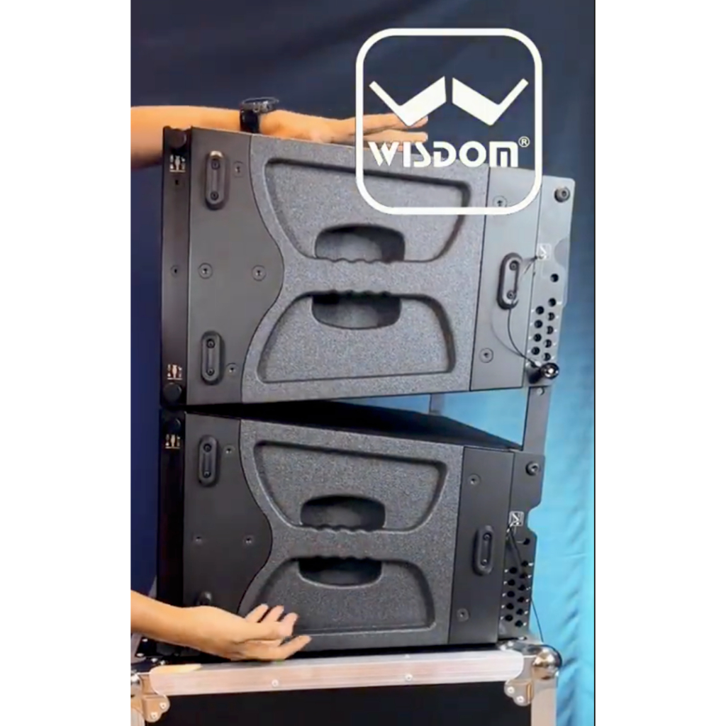 (JUAL 1 HARDCASE ISI 2 BUAH) Wisdom MS-210NEO / MS 210 Neo – Speaker Line Array 10 Inch Speaker dengan Hardcase Wisdom