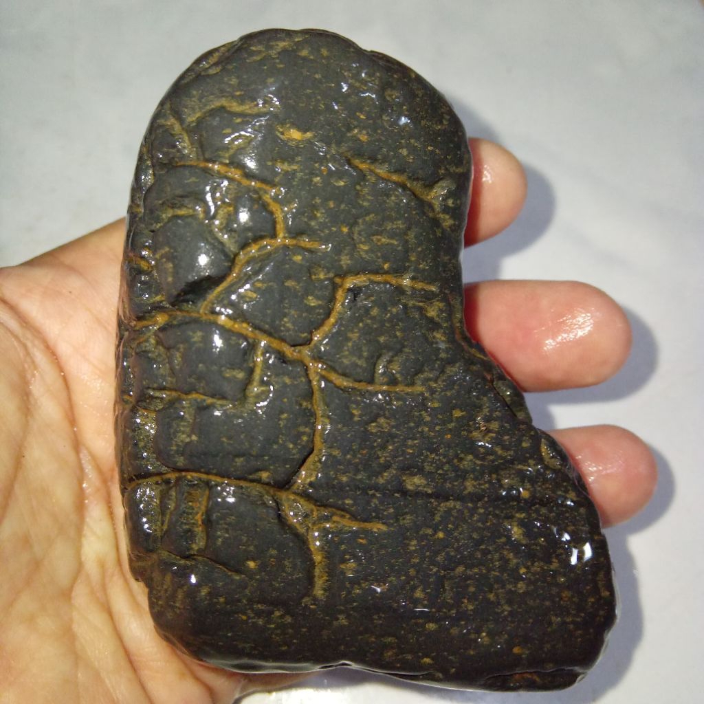 Original Batu Satam Bentuk Unik Ukuran Jumbo Istimewa