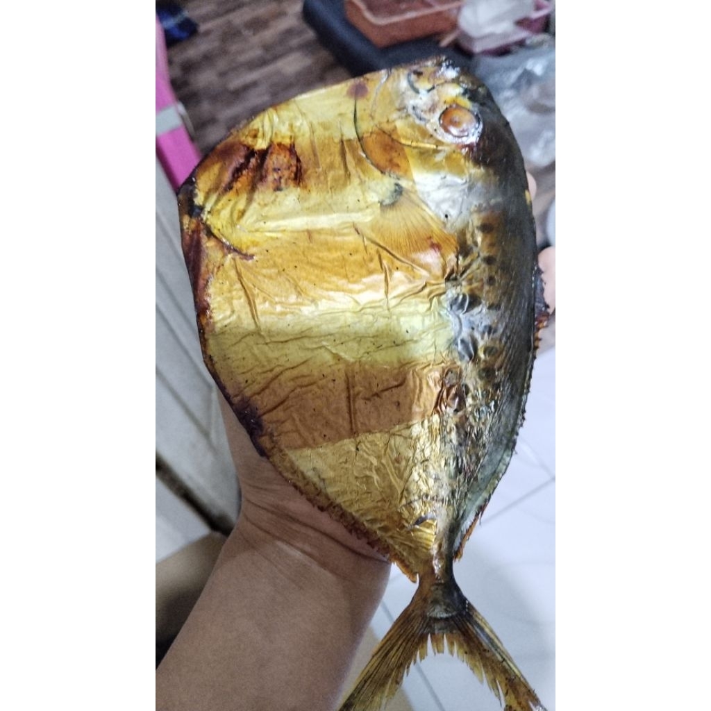 ikan asap ani2 /semar isi 2 ekor besar