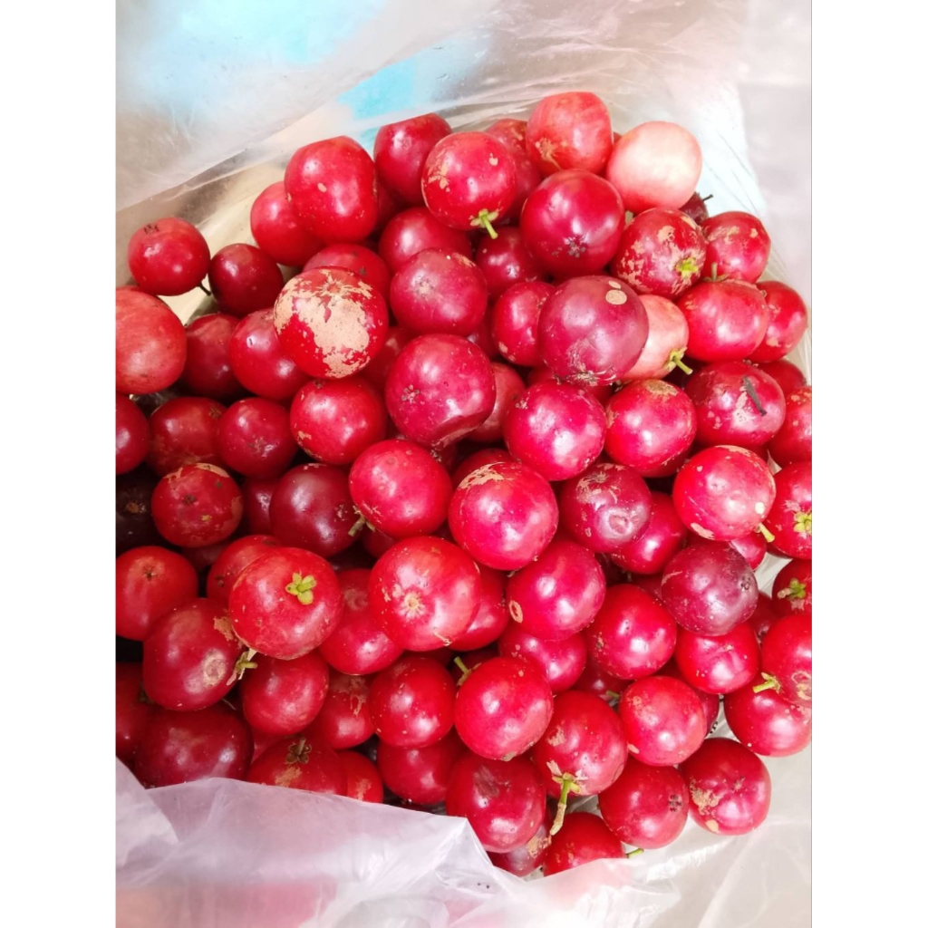 Buah Loba Lobi 500g , untuk rujak petisan