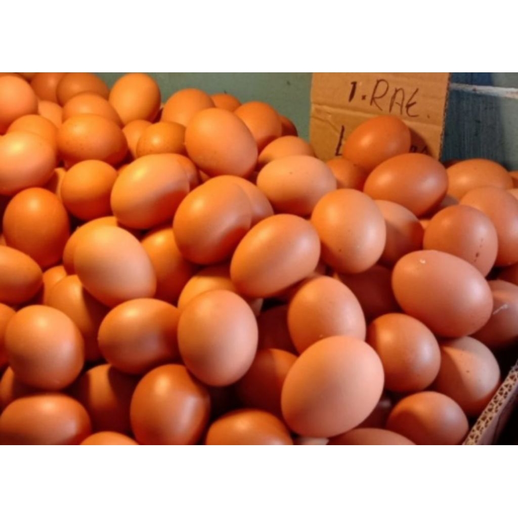telur ayam negri 1 kg