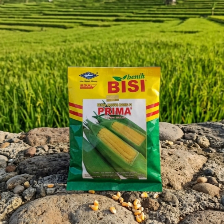 Benih Jagung Manis Prima Kemasan 250gr Dari BISI