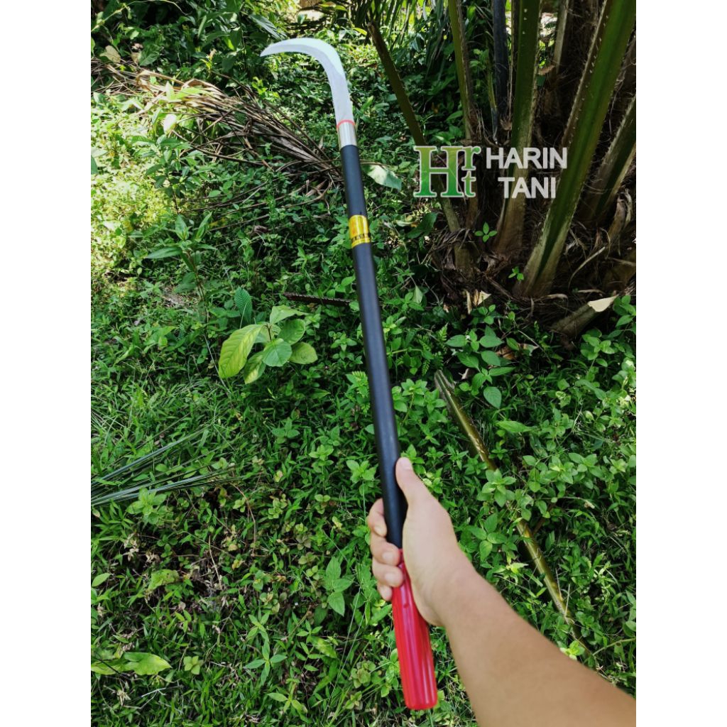 alat pemetik buah / kastrasi / pangkas dahan kecil / penyiang rumput malaysia panjang 80 cm - sabit 