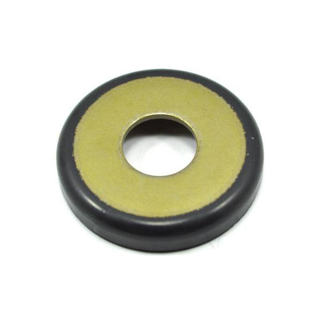 Dust Seal 31 X 405 Tiger New Revolution 52144GC4005
