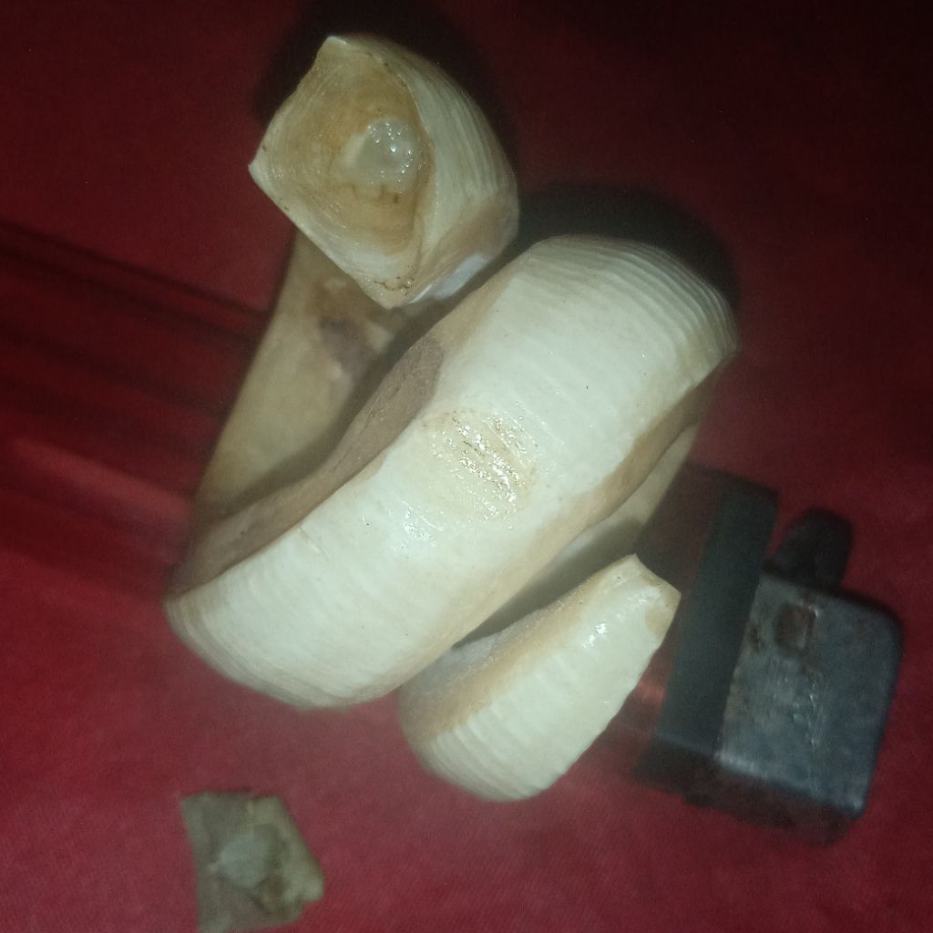 batu permata tarbi.kalimantan