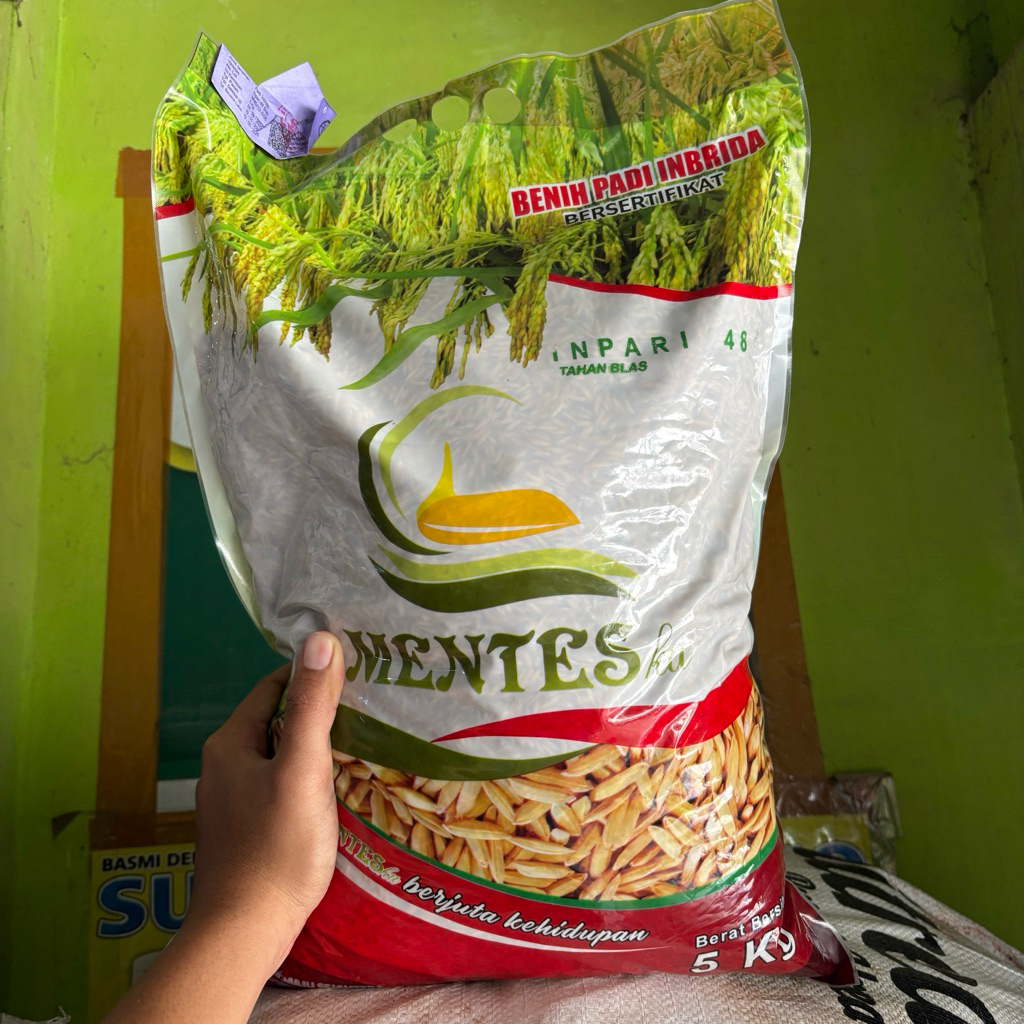 Benih Padi Inpari 48 5 Kg Produksi Tinggi Original | Bibit Padi Unggul Hasil Melimpah untuk Sawah