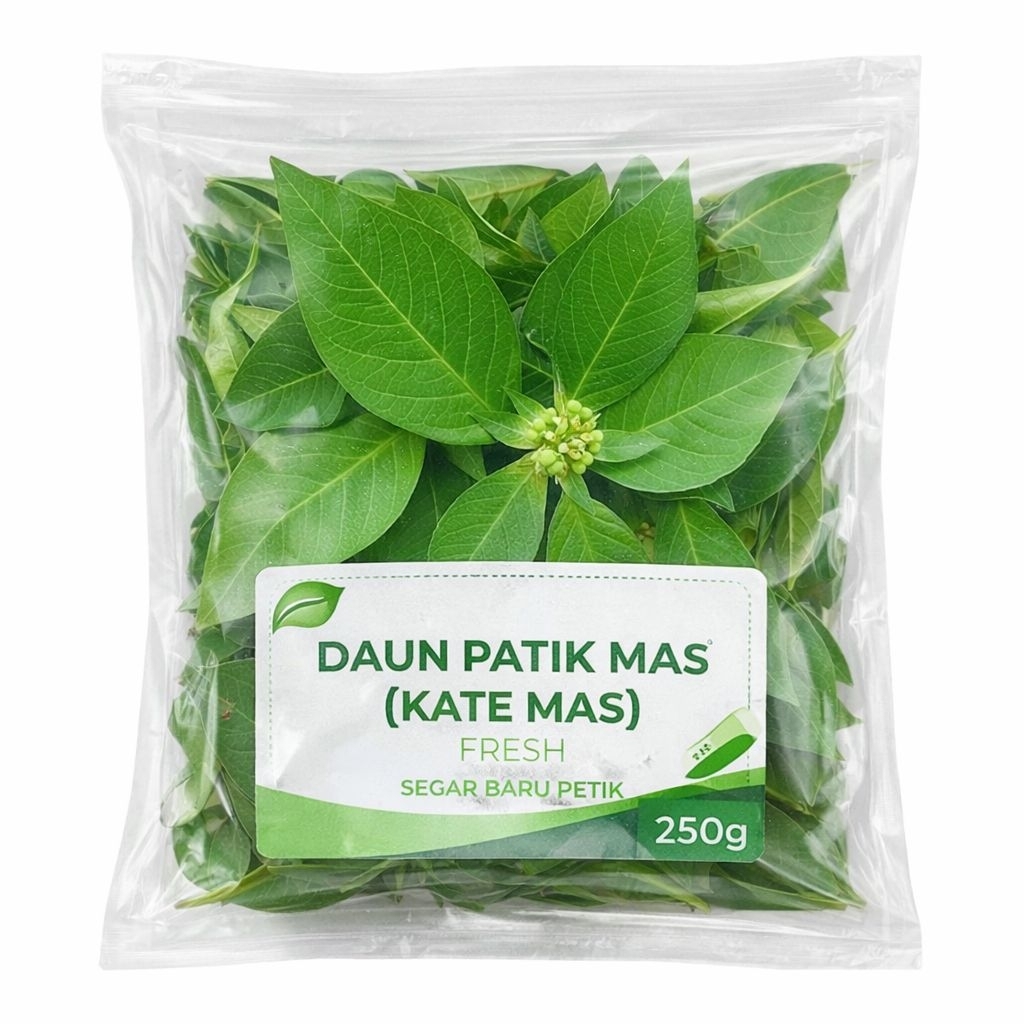 Daun Patik Mas / Kate Mas Fresh 250g Segar Baru Petik – Herbal Alami Berkualitas