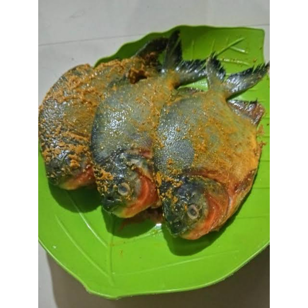 IKAN BAWAL UNGKEP / BAWAL BUMBU KUNING