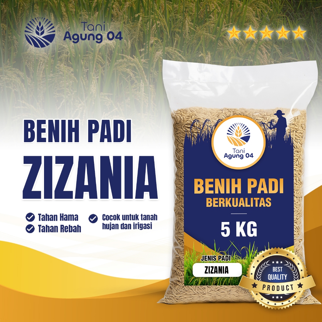 Benih Padi Zizania Ukuran 5KG