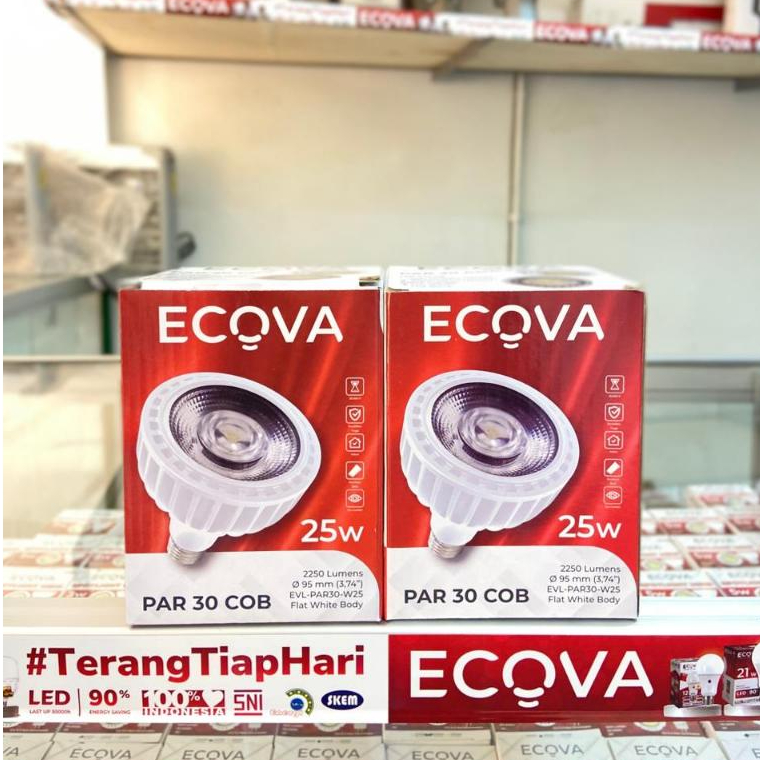 Ecova Par 30 COB 24