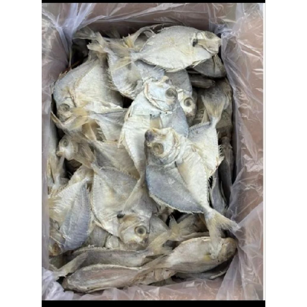 ikan asin petek segar 500 g