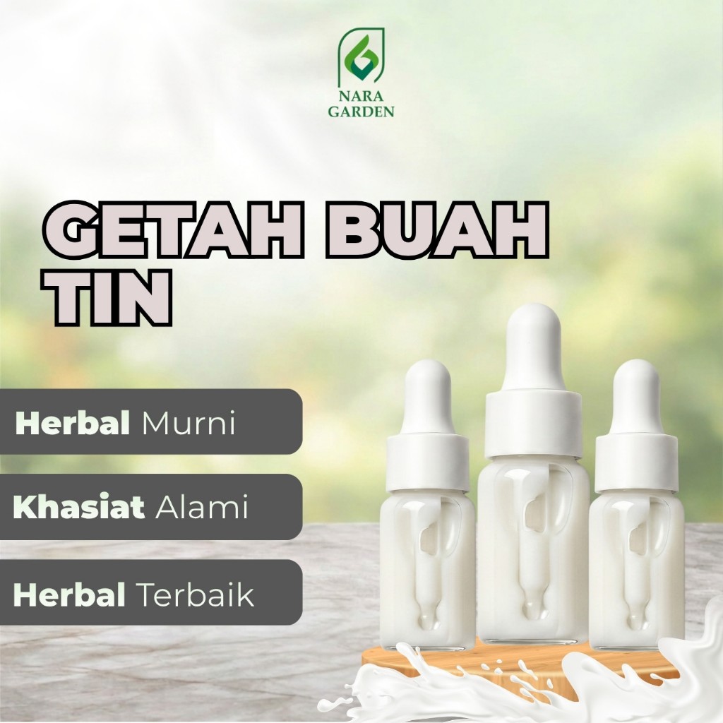 Nara Garden - Getah Buah Tin Fresh Petik  Antiinflamasi dan Vetiligo Asli COD