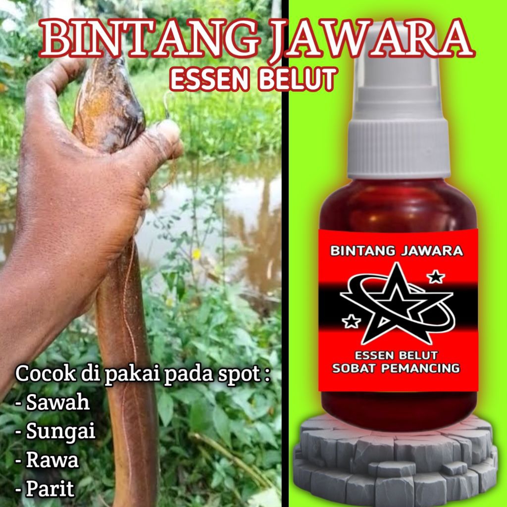 Umpan ngurek belut sawah Essen Bintang jawara mancing belut