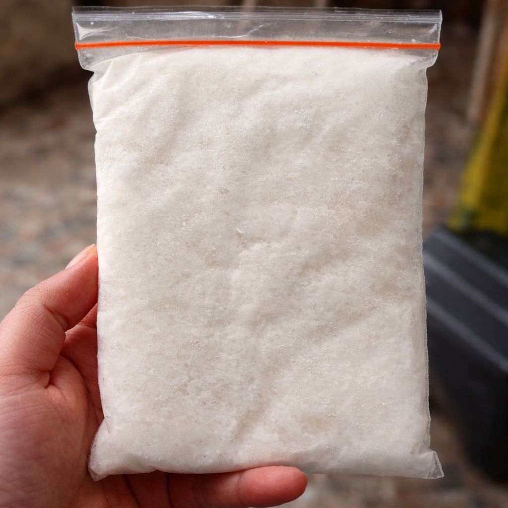 Kelapa Kopyor FRESH ASLI Frozen 250 Gram