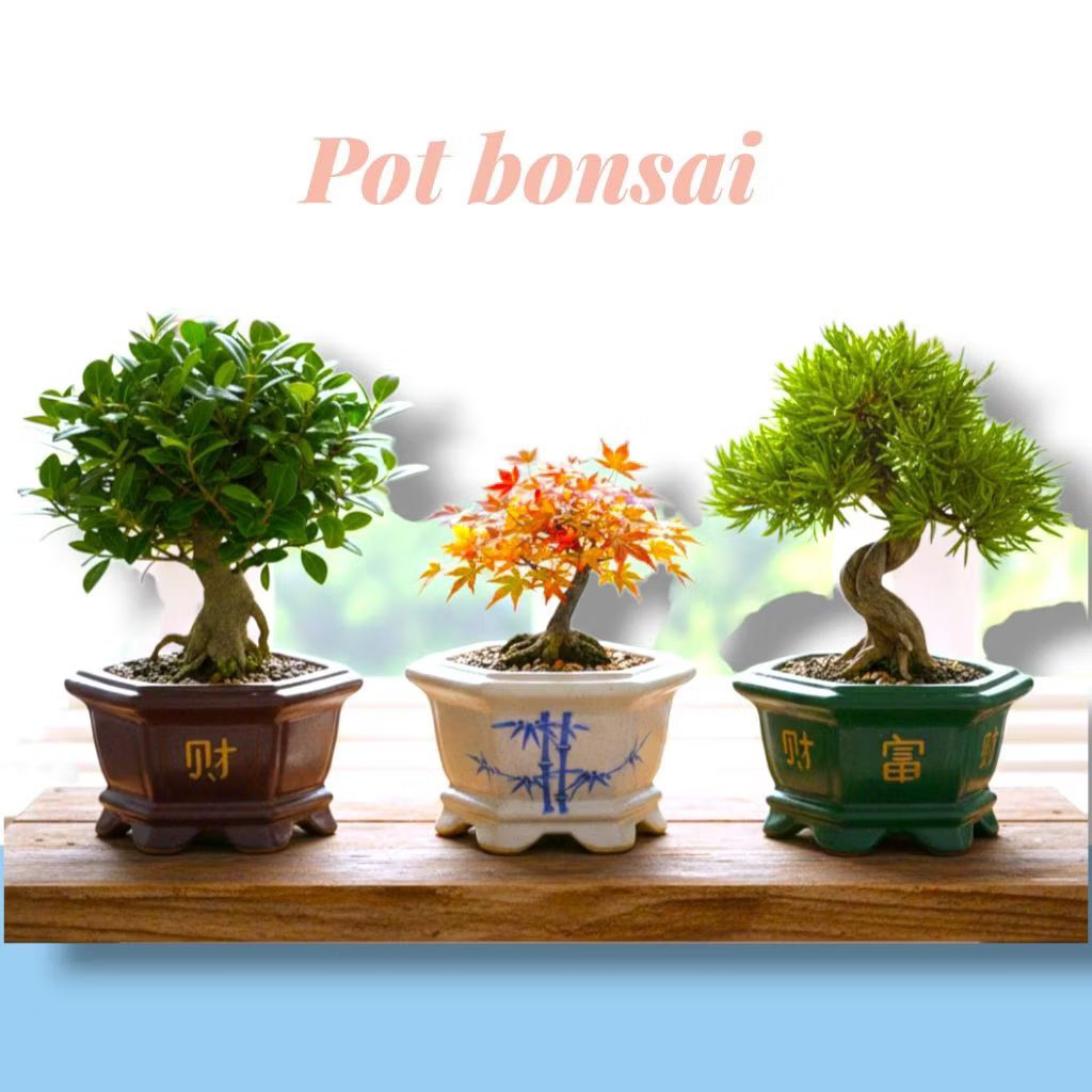 Pot bonsai keramik / pot bonsai lukis tanaman hias