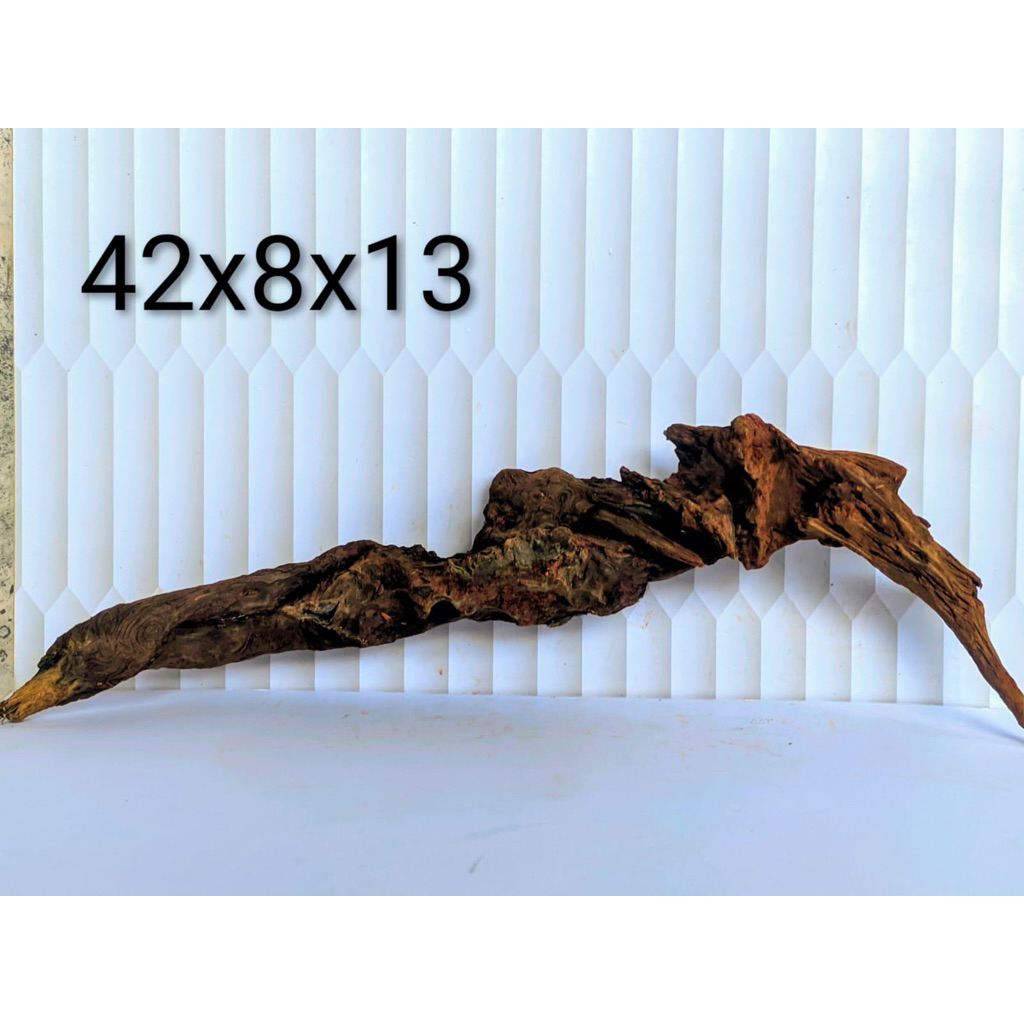 kayu rentek aquascape alami tenggelam