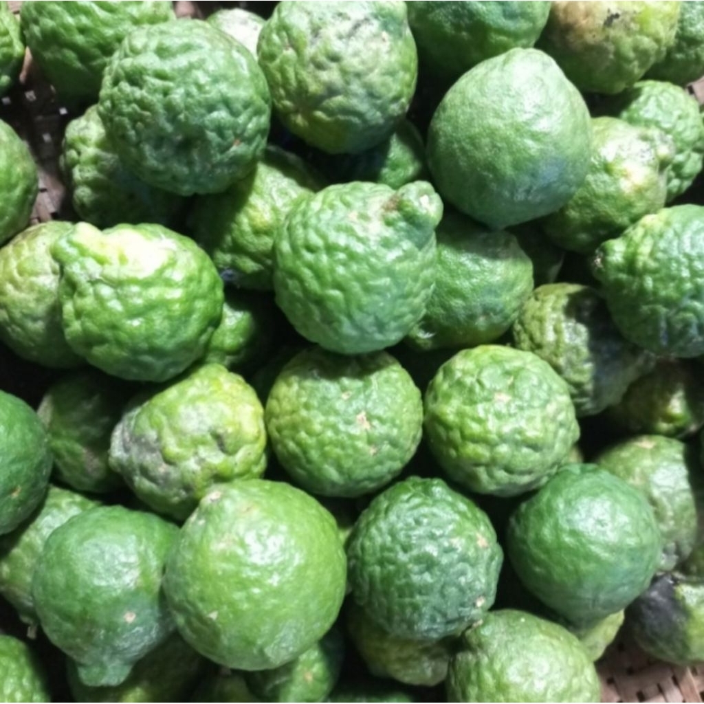 buah jeruk purut 1kg