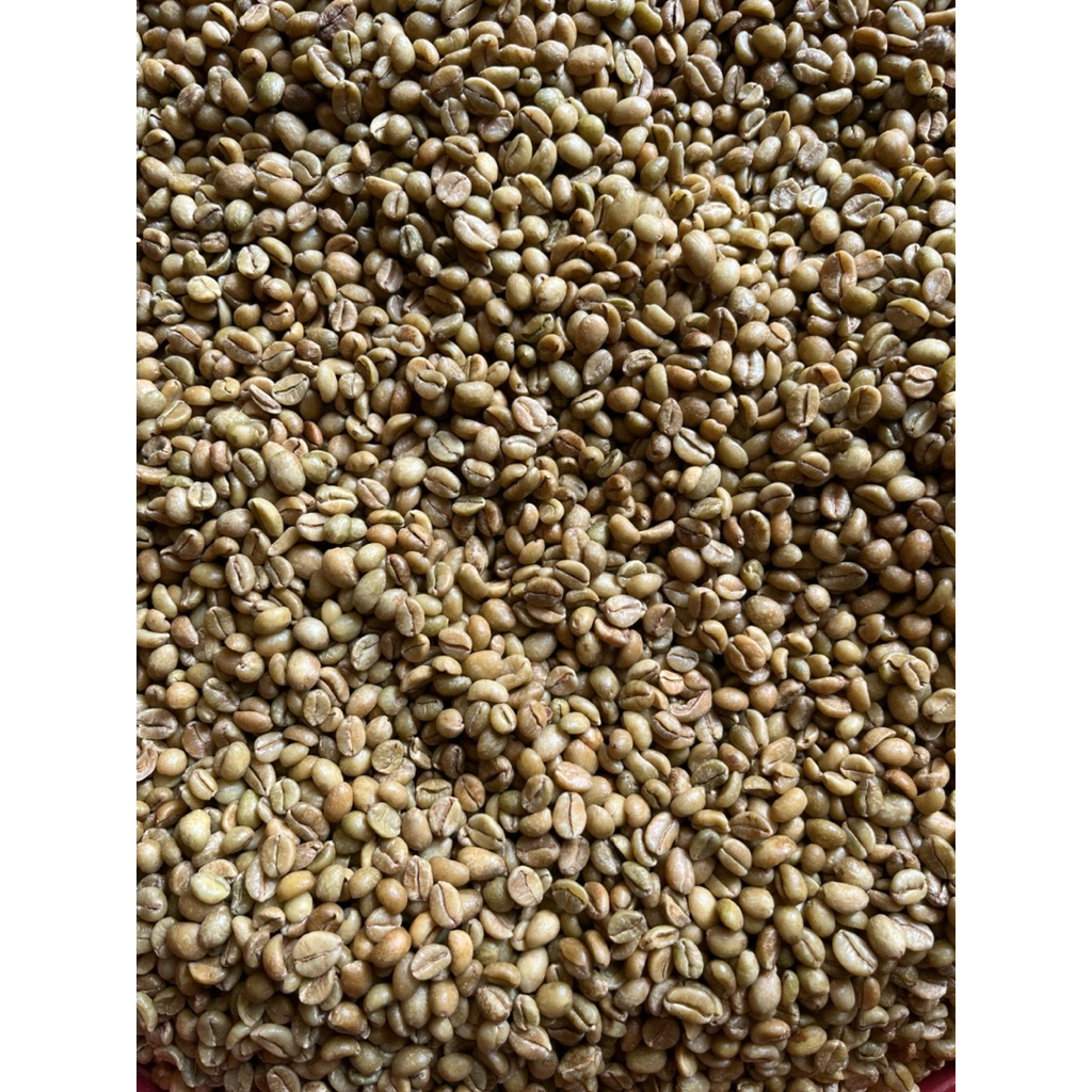green bean liberika excelsa anaerob premium sortir 1kg biji kopi